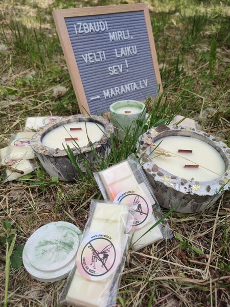 Pretodu preces NOST AR BZZZ... 