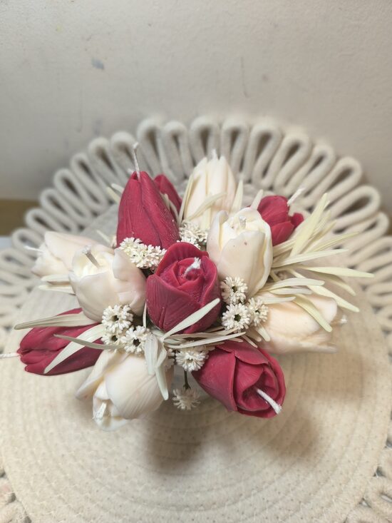 Sarkanbaltās tulpes